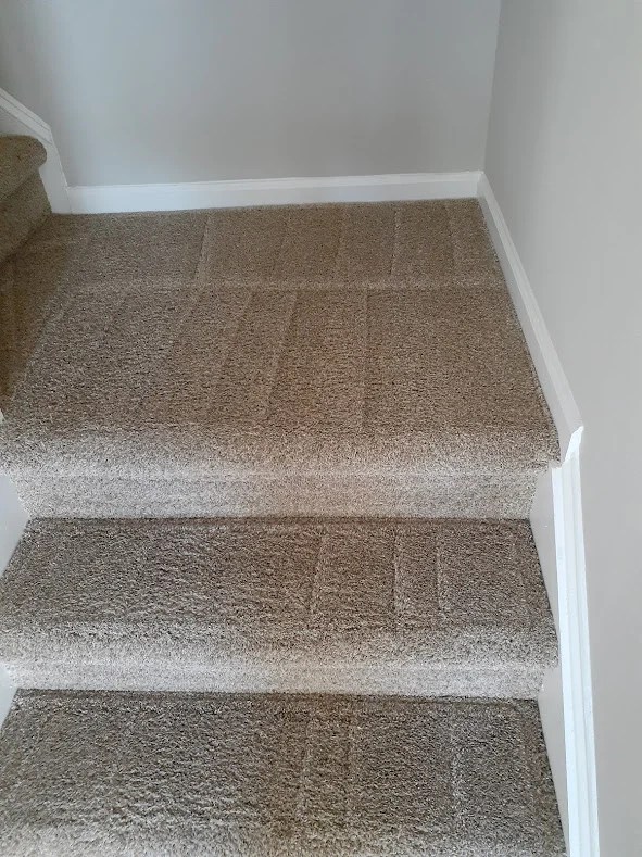 Carpet Services 1 Carpet Cleaning & Repair Lawrenceville