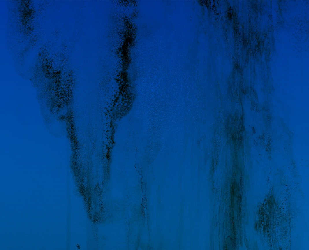 North Potomac basement waterproofing Value Dry Waterproofing