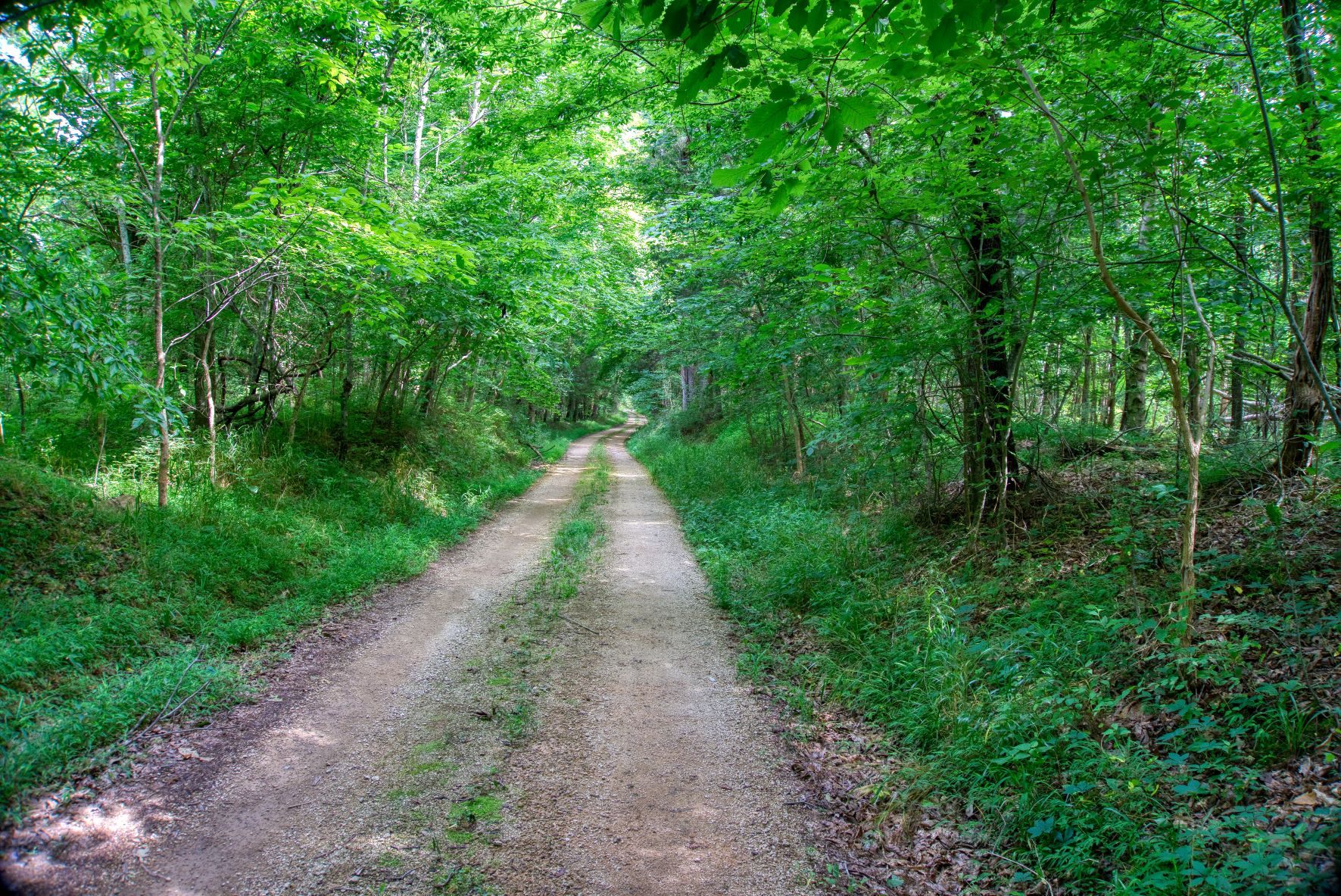 Natchez Trace Rolling and tumbling
