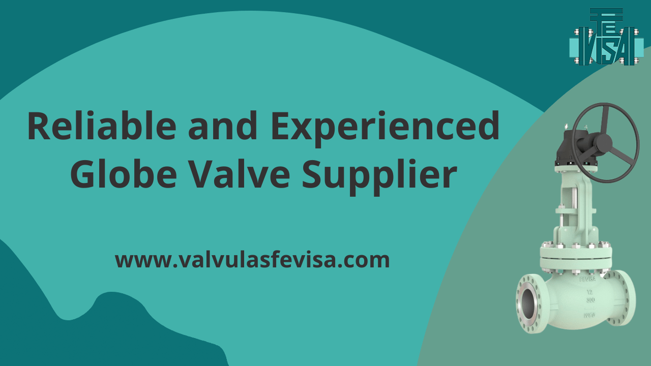 Reliable and Experienced Globe Valve Supplier Fevisa