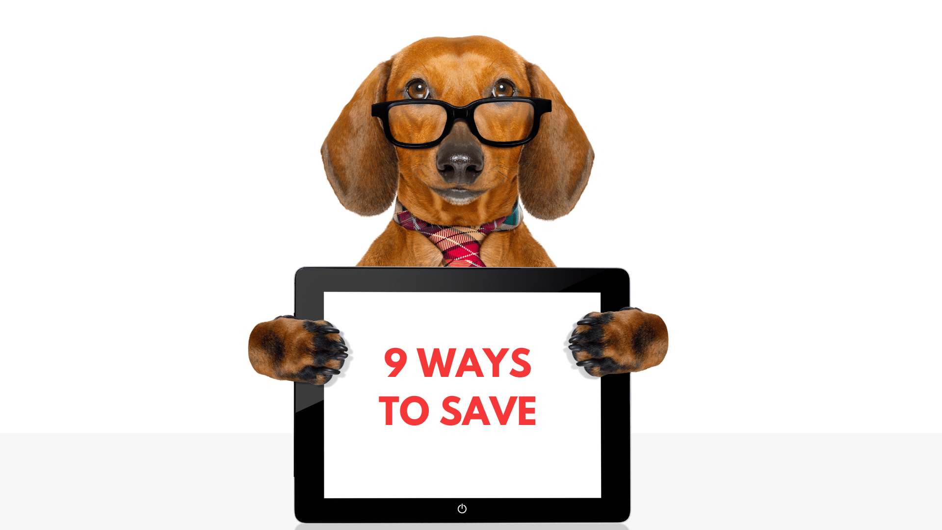9 Ways To Save on Affordable Pet Care Village at Main Veterinary Hospital