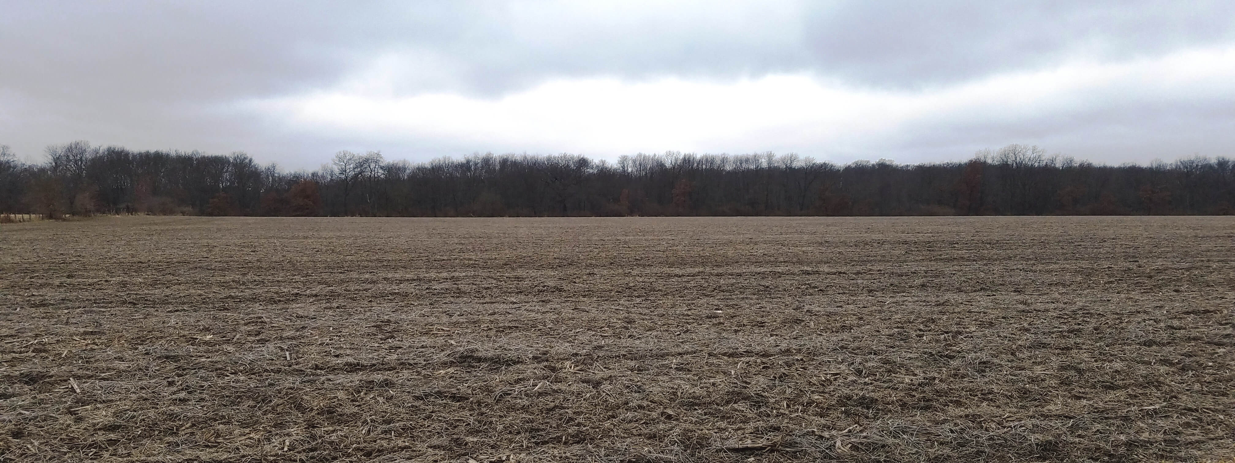Land Auction 40.0 Acres 1 Tract Knox County, IL Van Adkisson