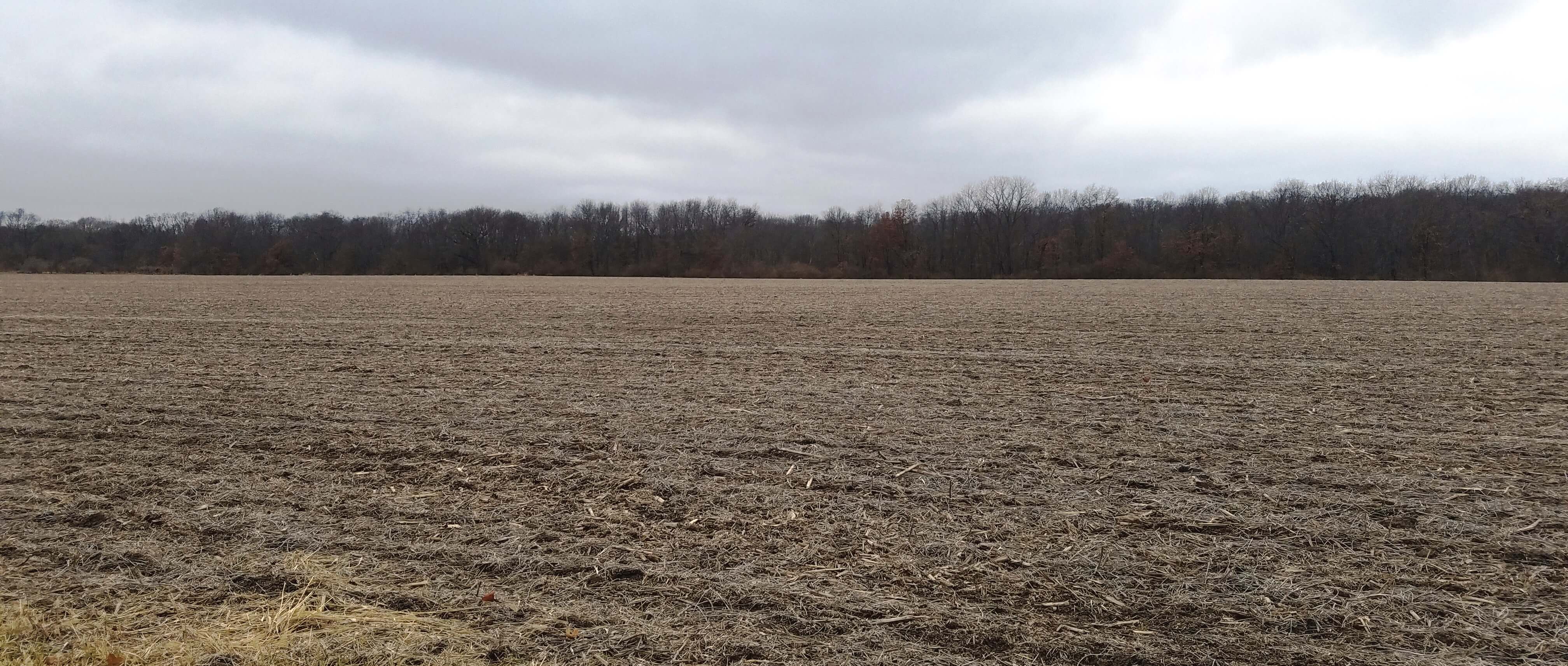 Land Auction 40.0 Acres 1 Tract Knox County, IL Van Adkisson
