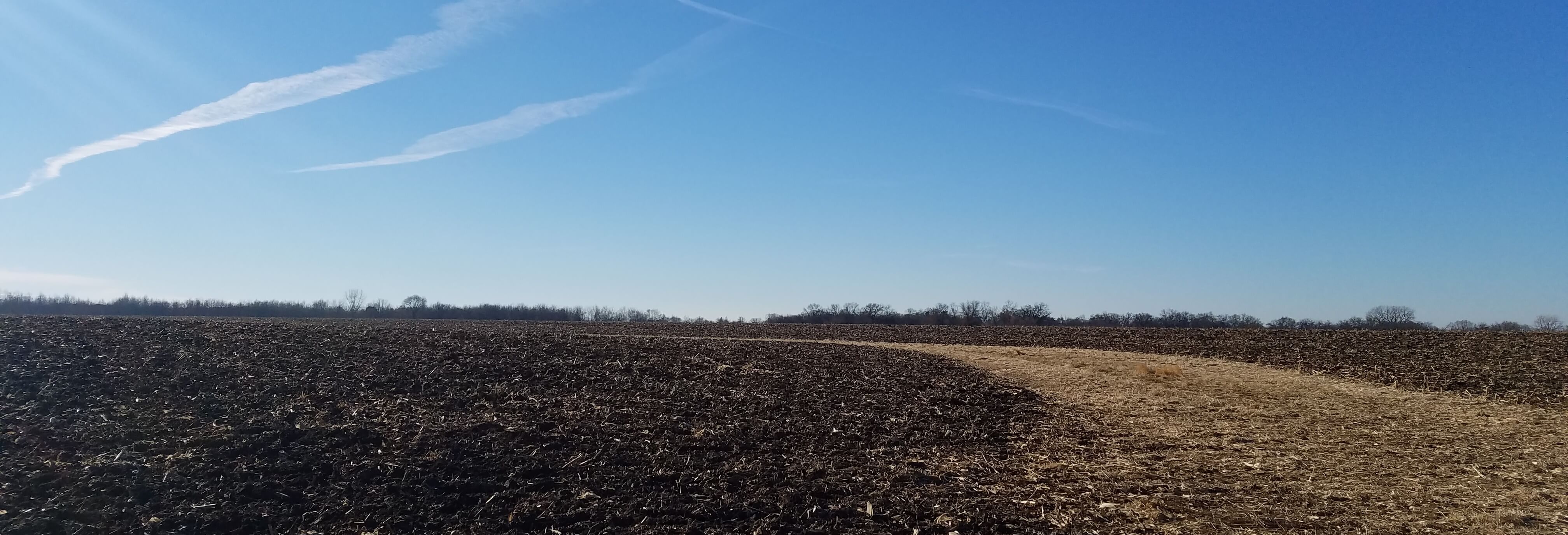 Land Auction 238.20 Surveyed Acres 3 Tracts Henderson County, IL