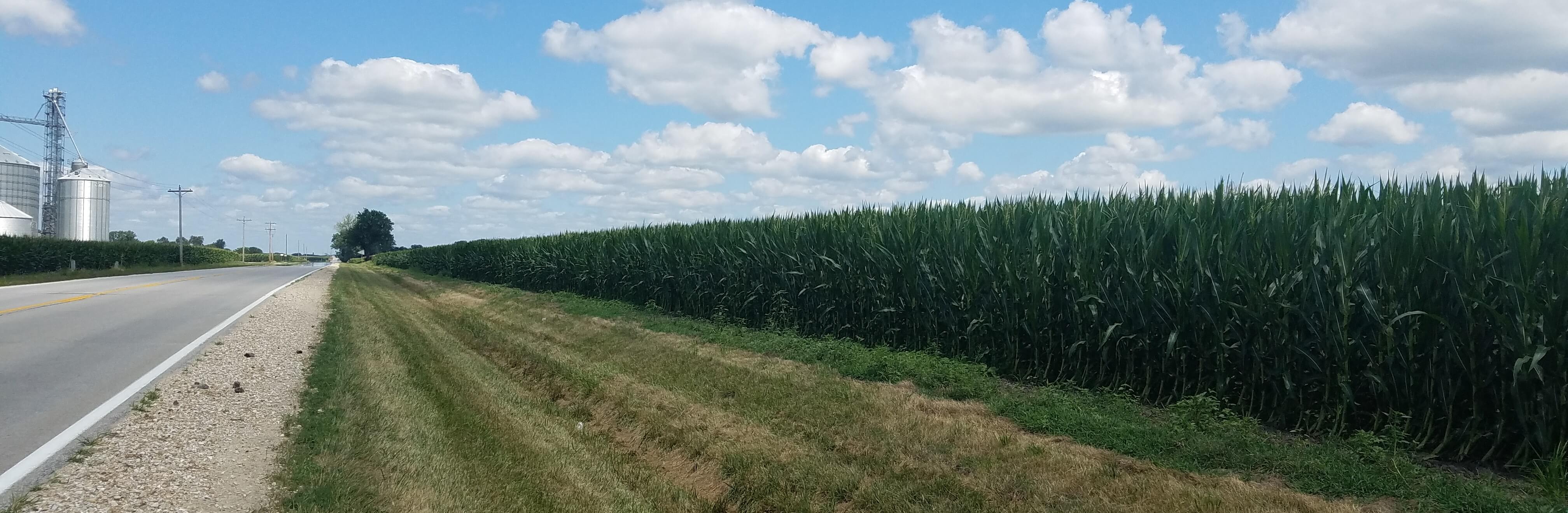 Land Auction 175.92 Surveyed Acres 3 Tracts Henderson County, IL