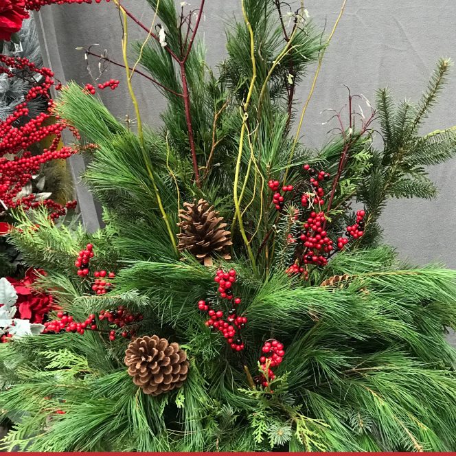 Evergreen Winter Porch Pot Kit Van Belle Flowers