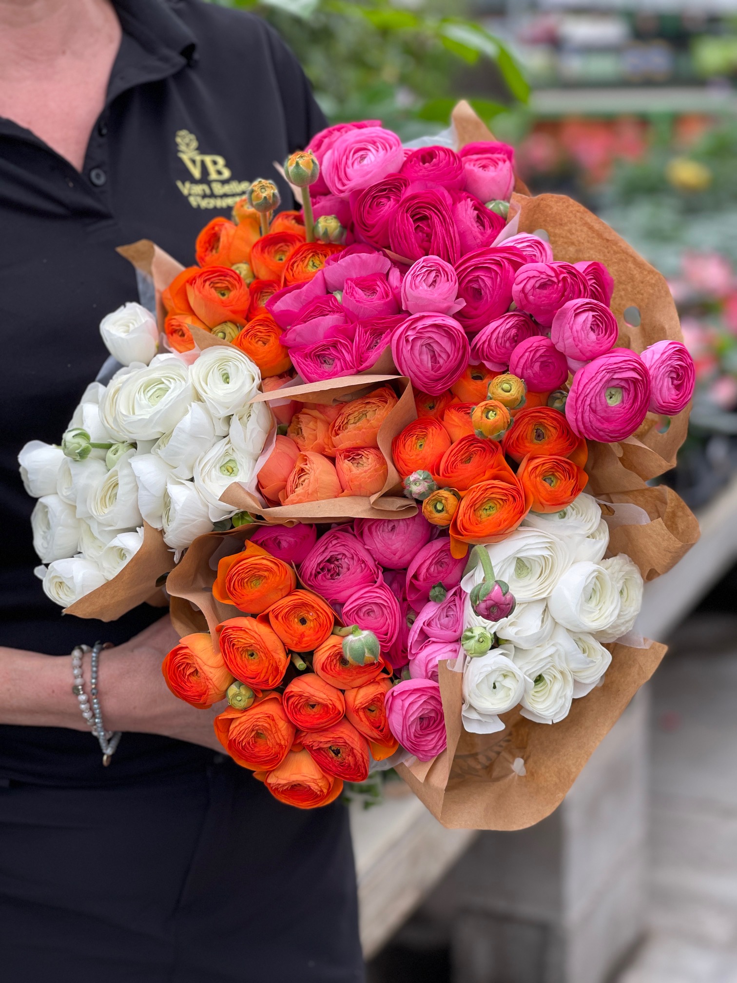Shop Garden Centre Online Van Belle Flowers