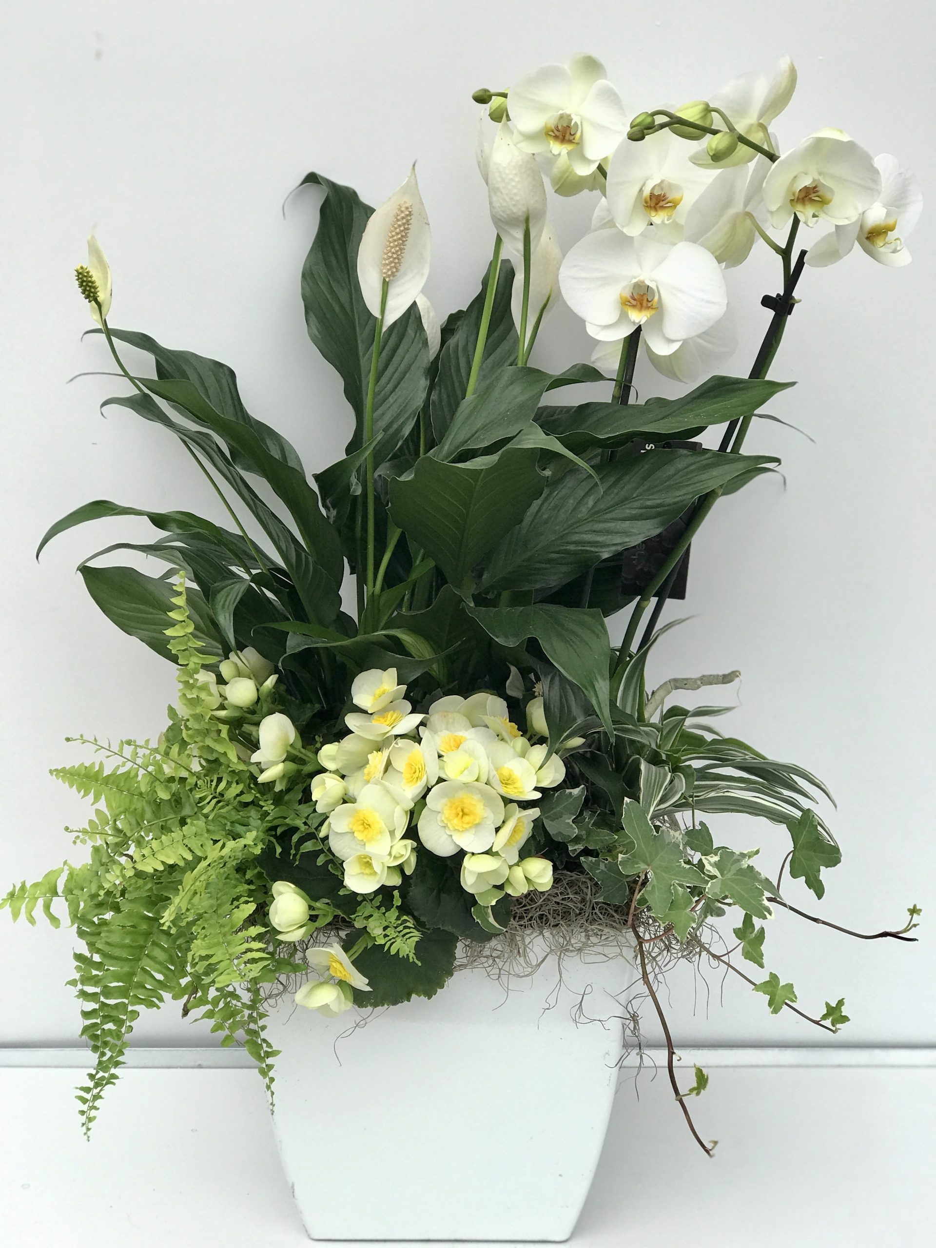 Greenhouse Courtice, Van Belle’s Florist Whitby, Garden Centre