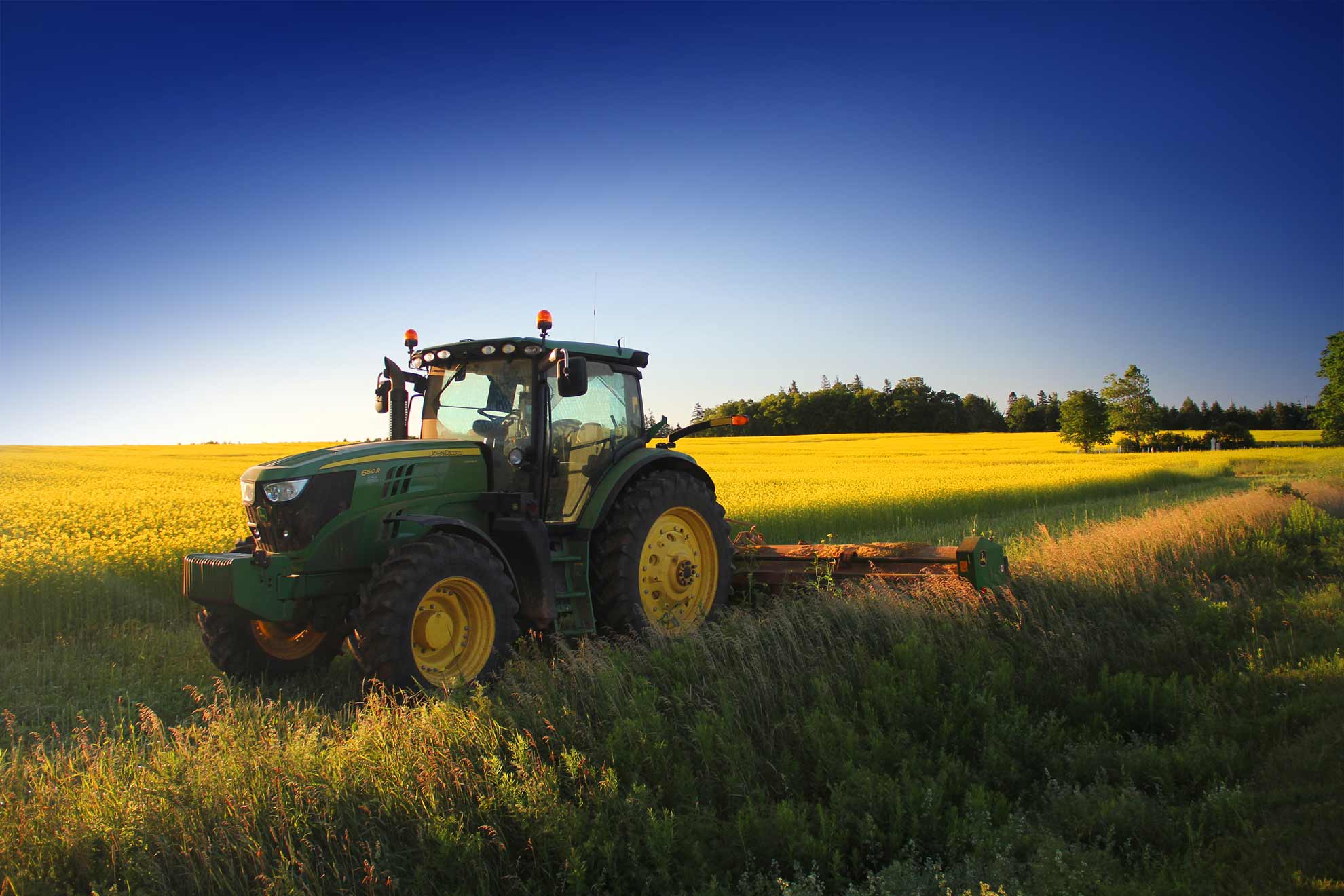 Home Vanco Farms Ltd.