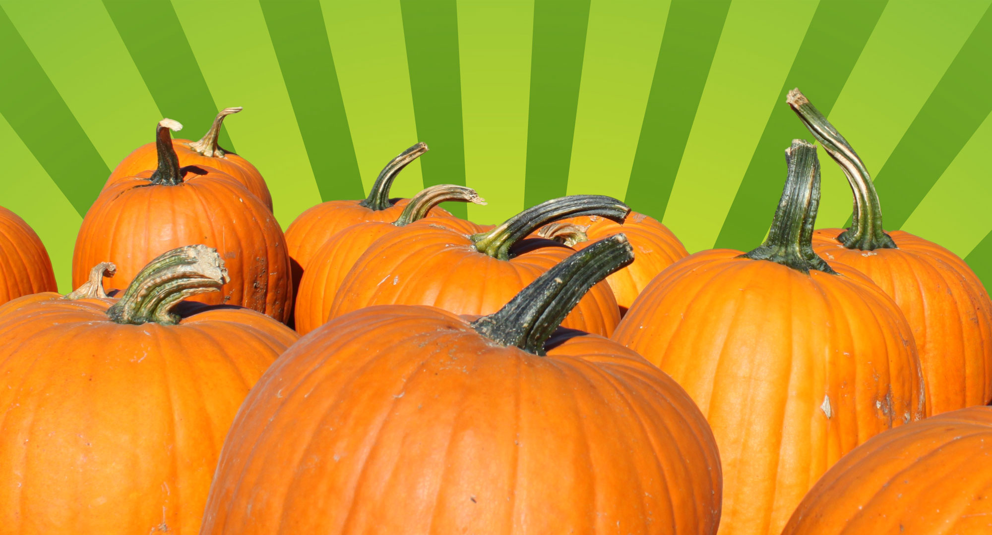 pumpkin.jpg by bmcarbaugh