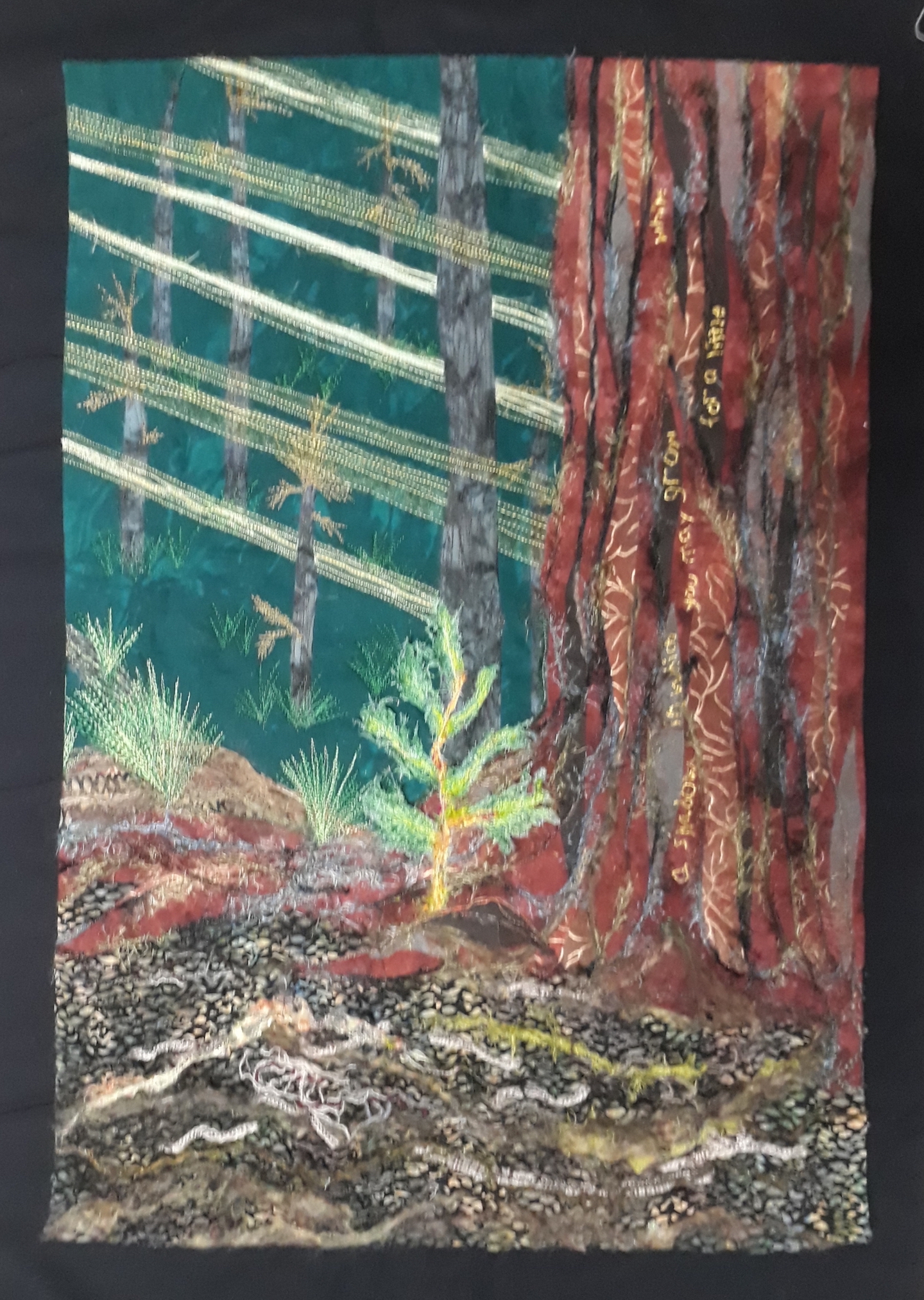 Shelter Vancouver Quilters' Guild