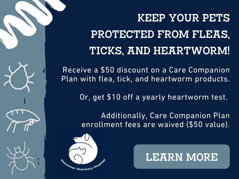 Vancouver, WA 98661 Veterinarian Vancouver Veterinary Hospital