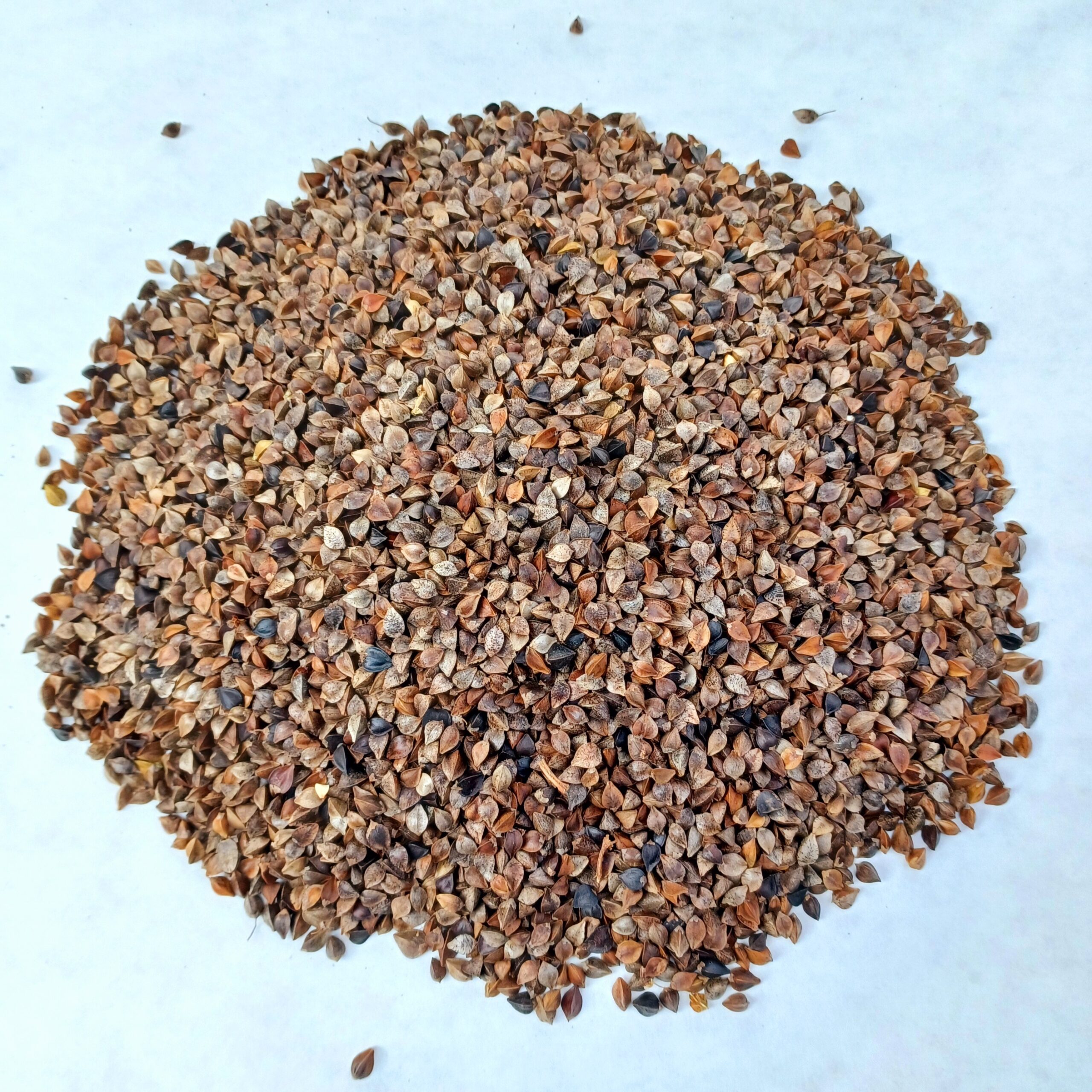 Buckwheat Vander L Feeds Limited Buckwheat Buckwheat