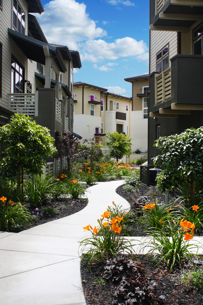 Bay Meadows Vandertoolen Associates