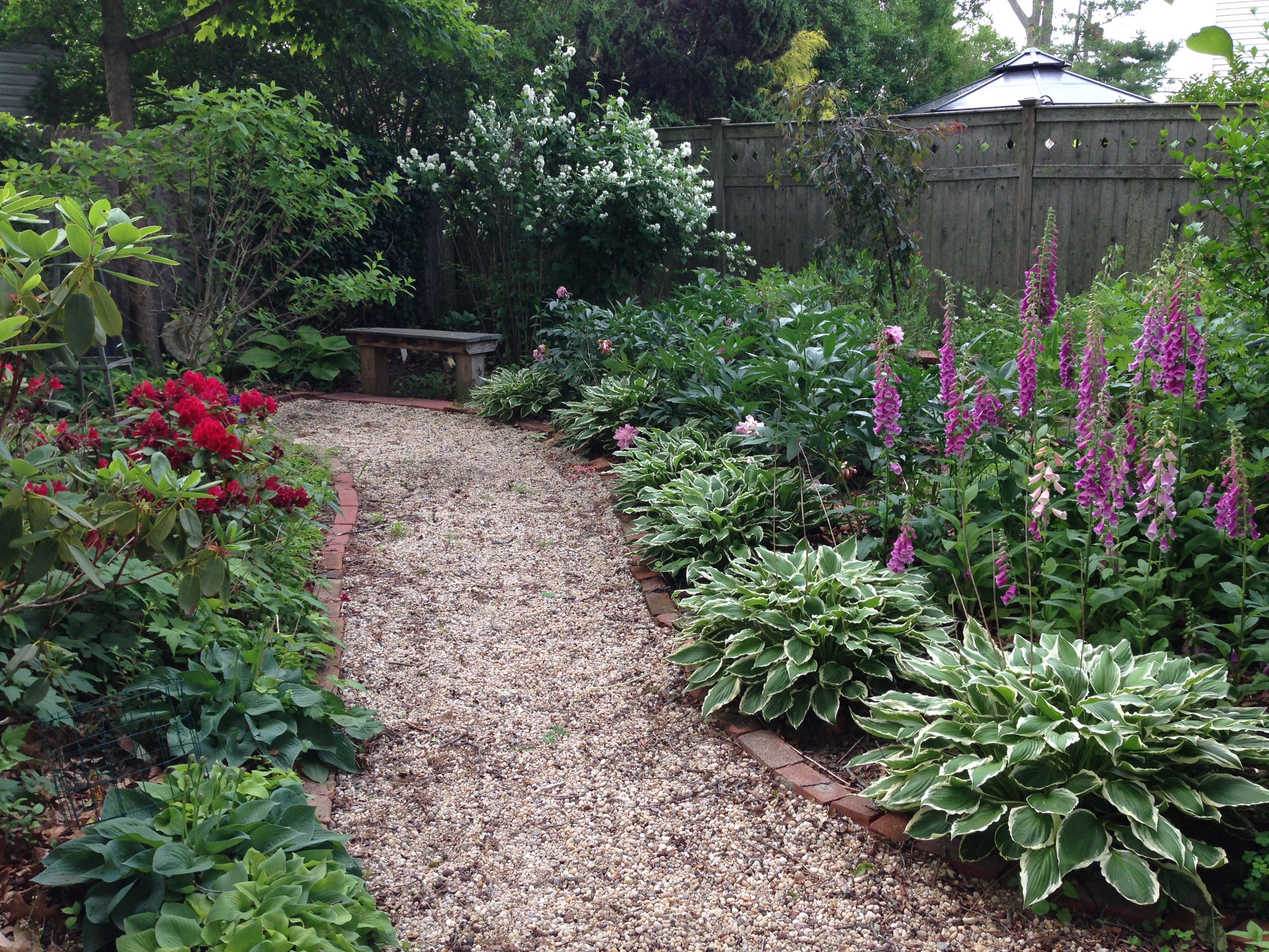 What’s In Bloom Early June 2015 VanDyke Gardens