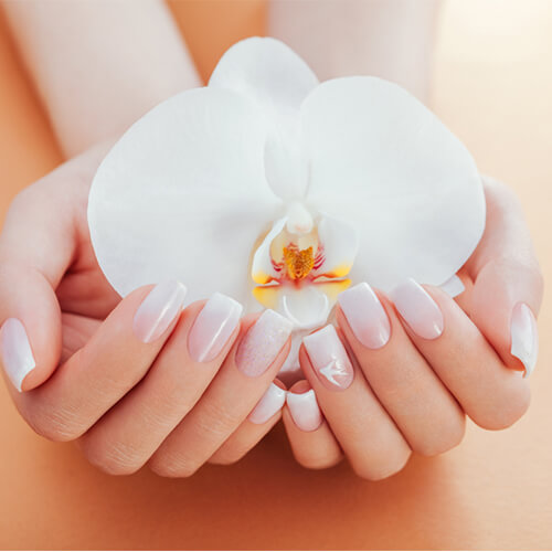 Vanessa Nails in Rochester Nail Salon in Rochester NY 14623