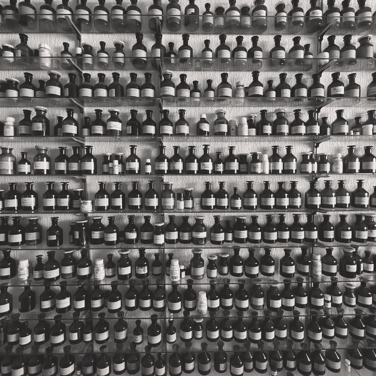 The Art of Fragrance Creation Understanding Scent Families A Swiss