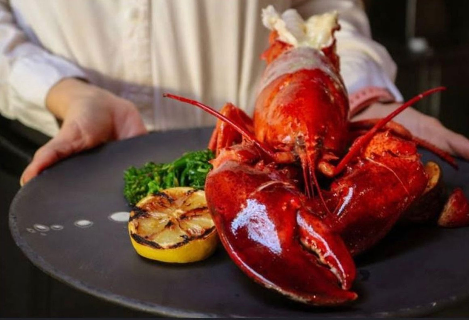 2023 Dine Out Vancouver The Vancouver Fish Company Restaurant & Bar