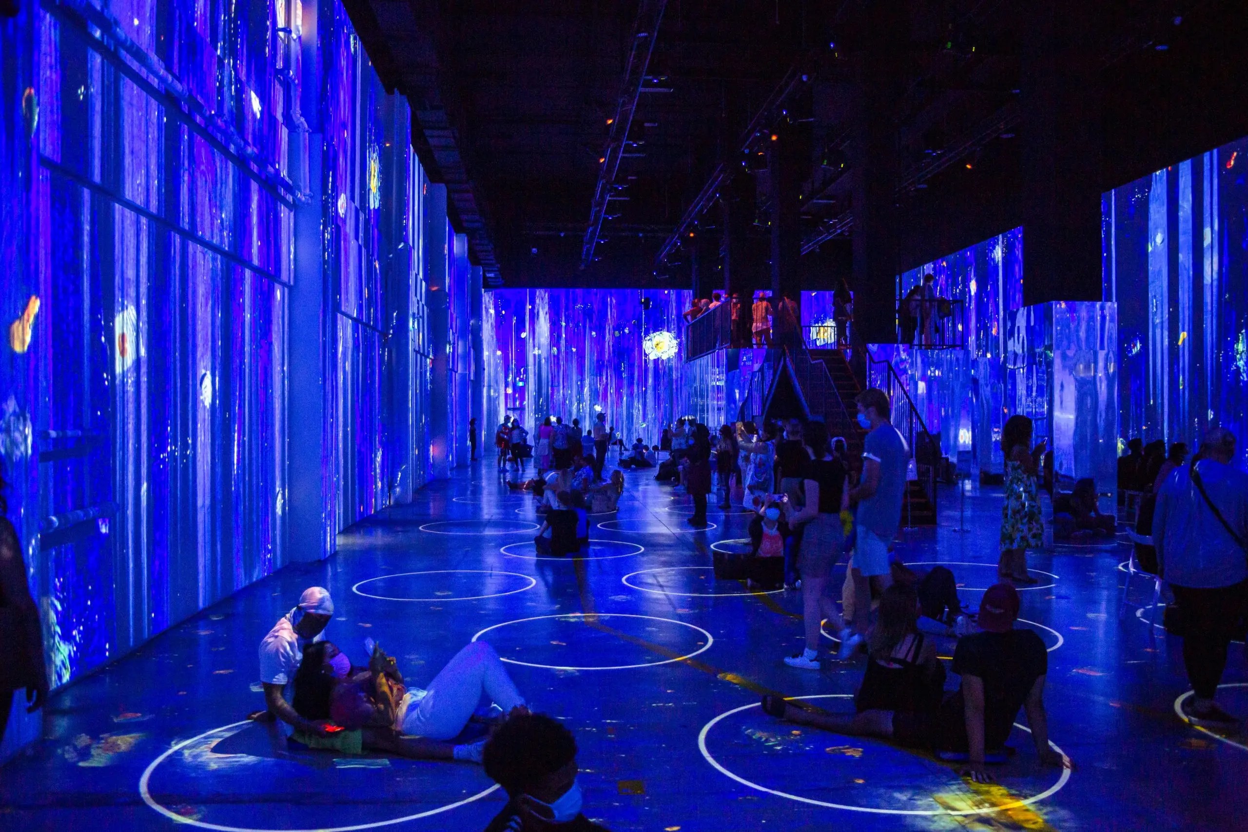 Van Gogh Exhibit Monterrey The Immersive Experience