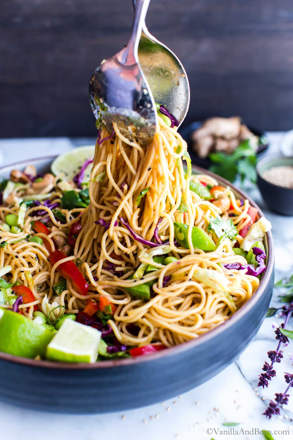 Sesame Ginger Noodle Salad with Cashews Vanilla And Bean
