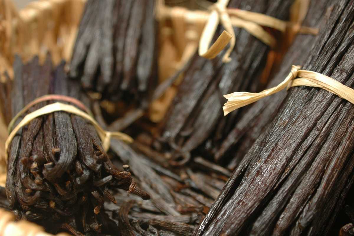Buy Madagascar Bourbon Vanilla Beans Bulk Gourmet Quality