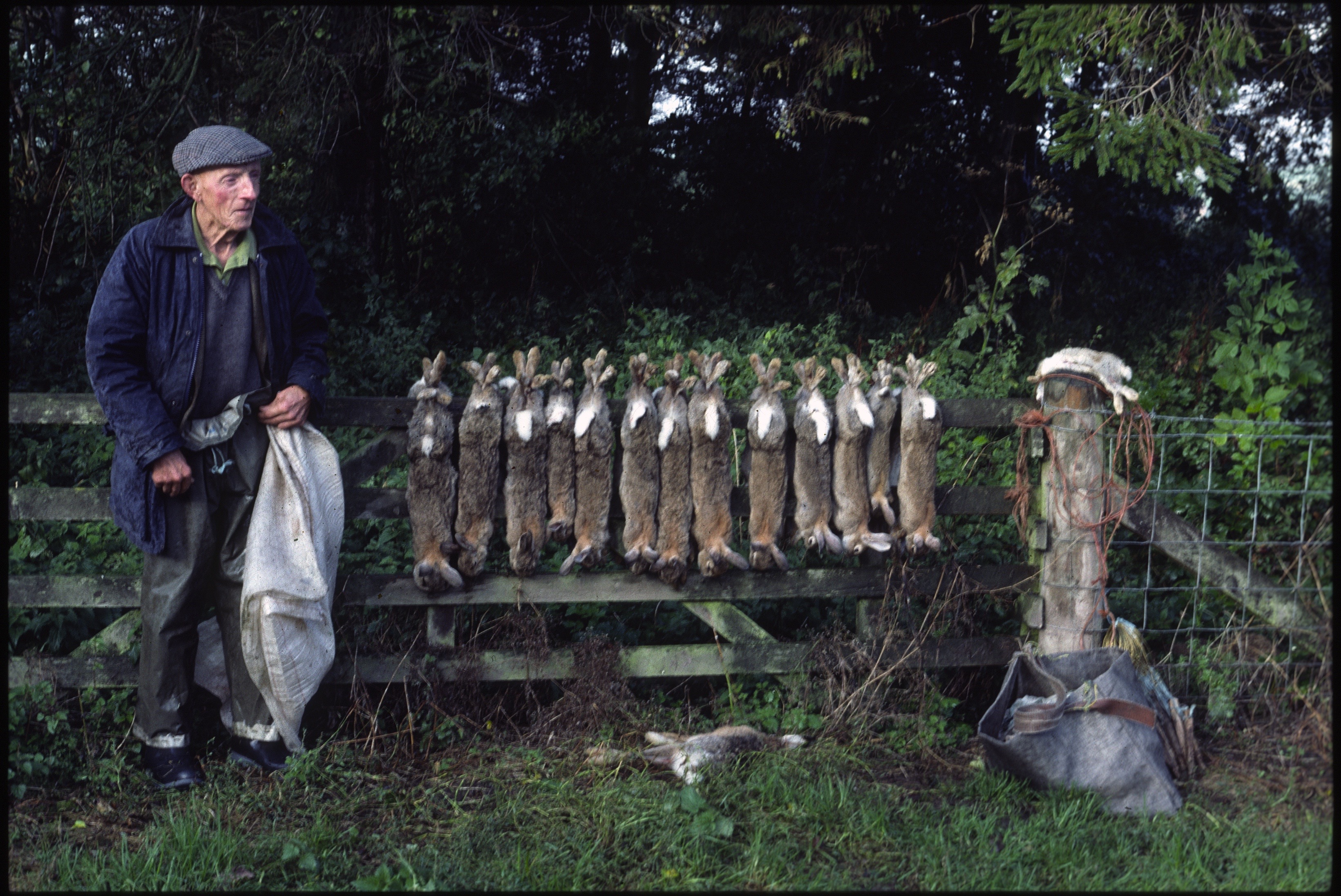 Tam the Rabbit Catcher Vanishing Yarns