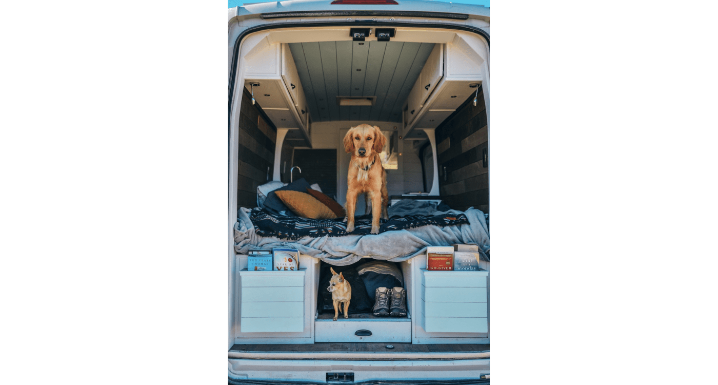 Traveling with Your Dog 5 Ways of Keeping Your Furry Friend Happy During Van Life Vanlife Daily