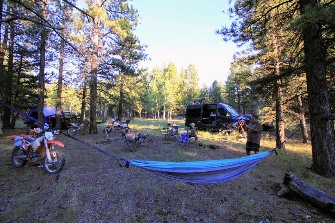 The Best Camping Hammock for the Money VanlifeHack