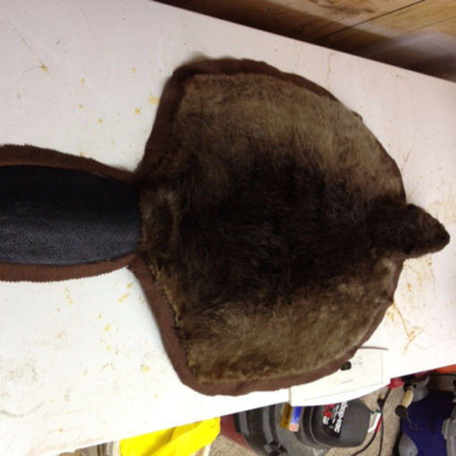 BEAVERRUG Vanmar Taxidermy by Vance Montgomery