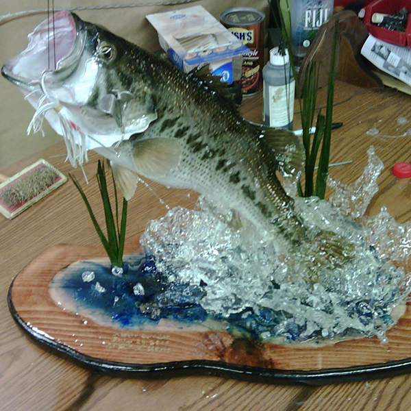 Fish Taxidermy World Award Winning Artist Vance Montgomery