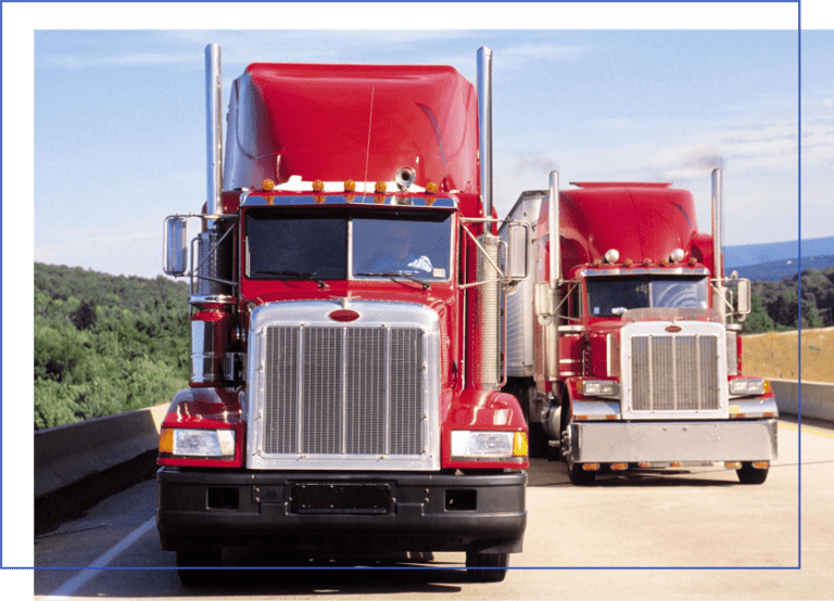 Warehousing Solutions Van Meier Logistics