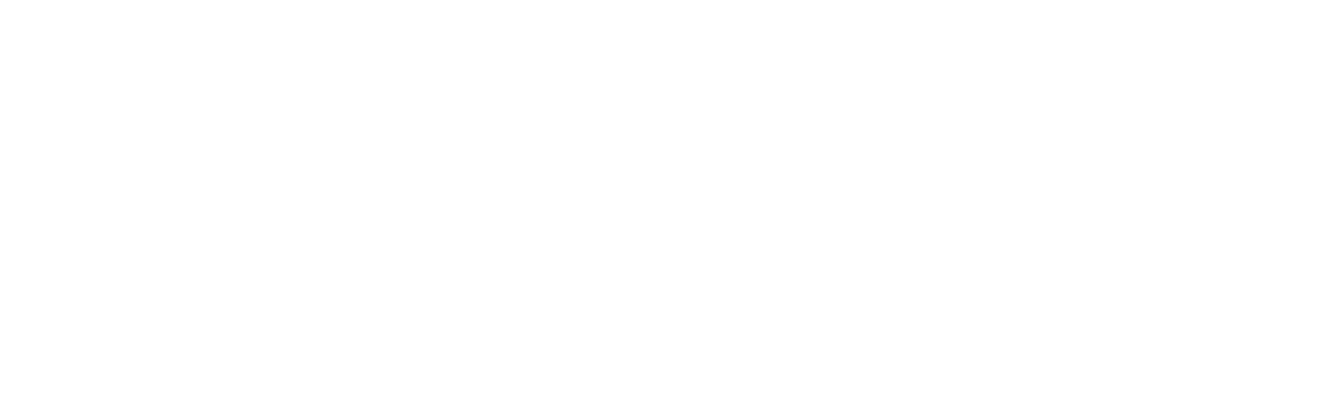 Warehousing Solutions Van Meier Logistics