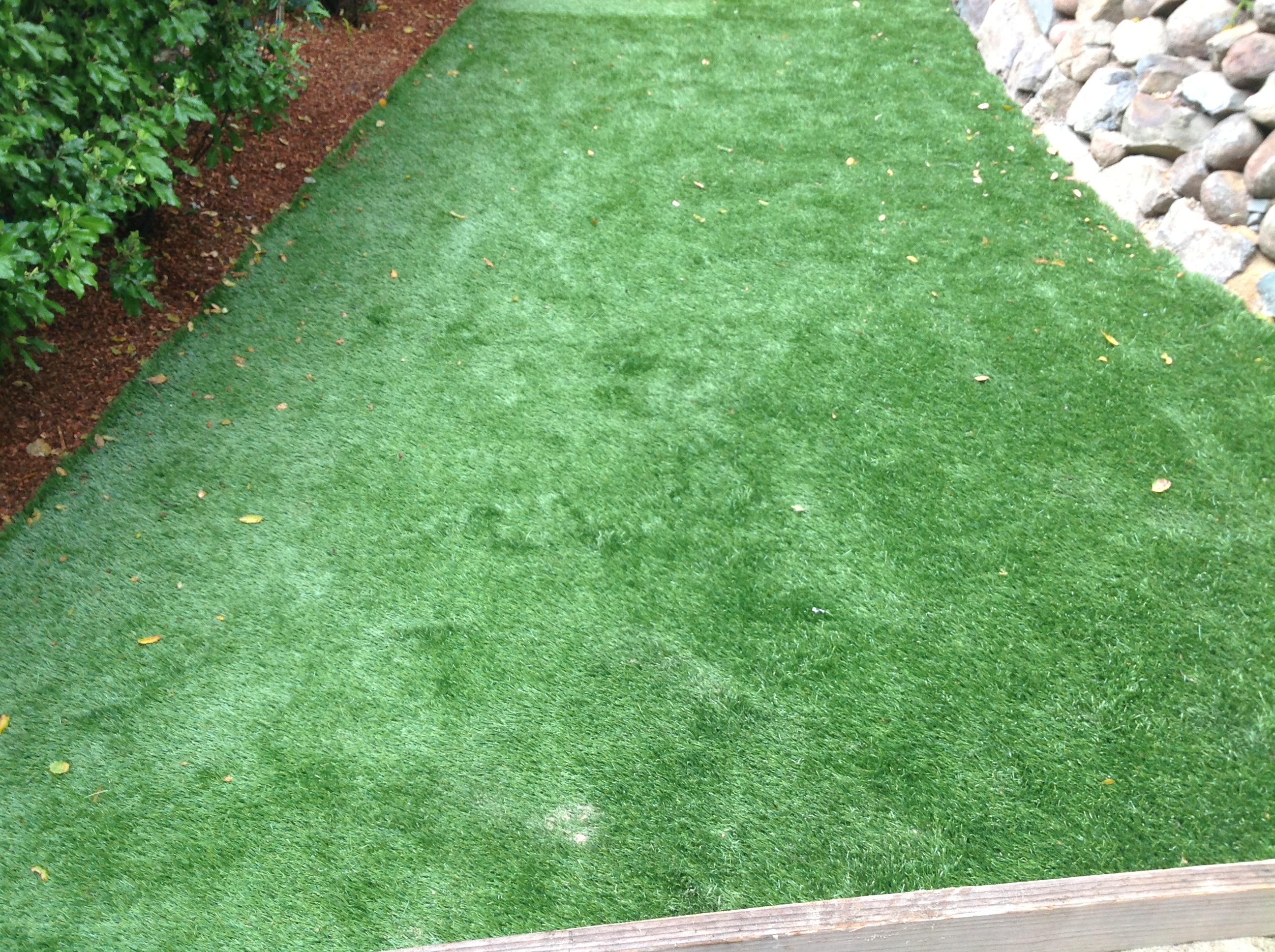Marin Concrete Contractor in San Rafael Artificial Turf Van Midde