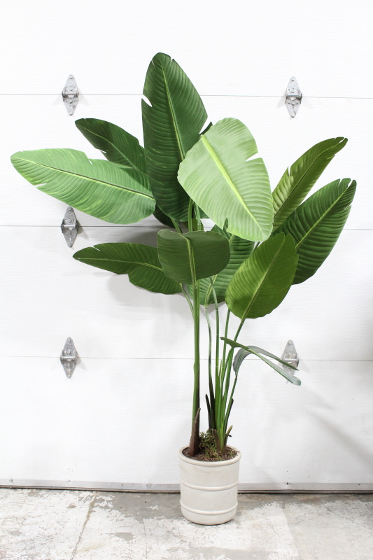 plant fake fake palm approx 6 light coloured planter plastic green