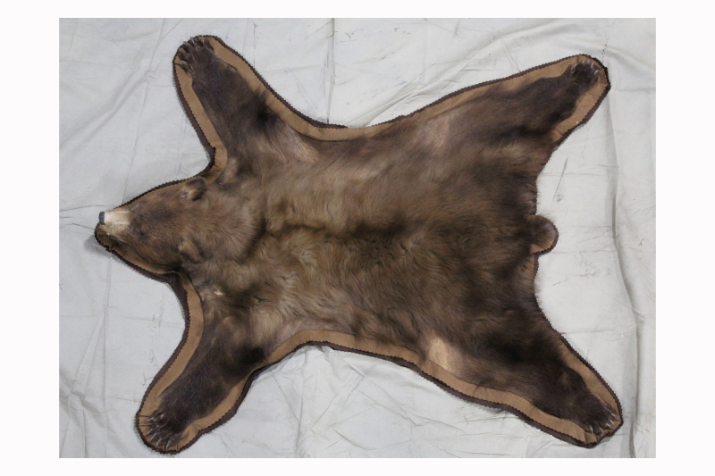 rug animal real bear skin rug fragile medium fur brown VanProp.ca