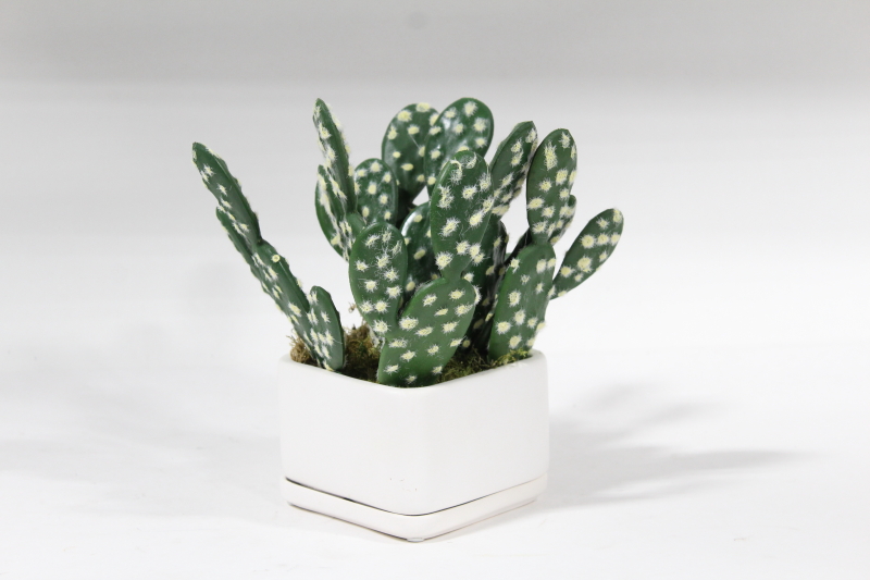 plant fake small fake prickly pear cactus in white ceramic planter