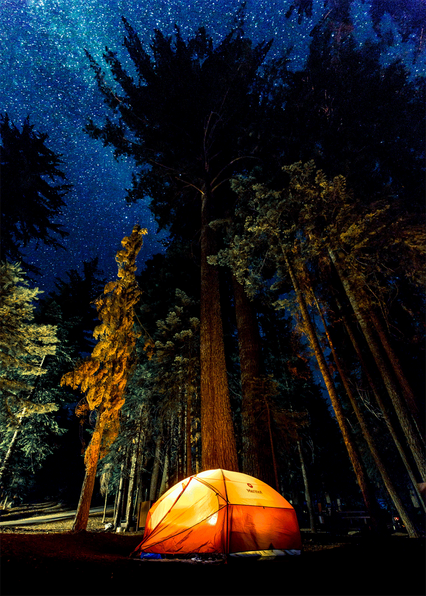 Best Lanterns for Camping 14 Top Choices for 2020