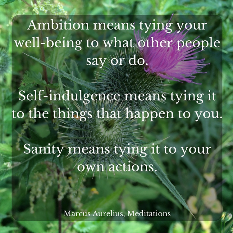 What Ambition Means Van Sijl Coaching & training for academics