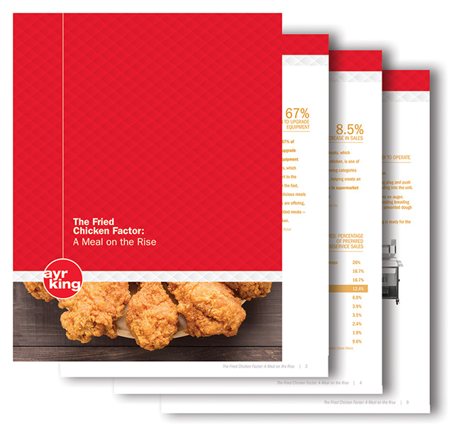 B2B Marketing Case Study AyrKing Market Research VantagePoint