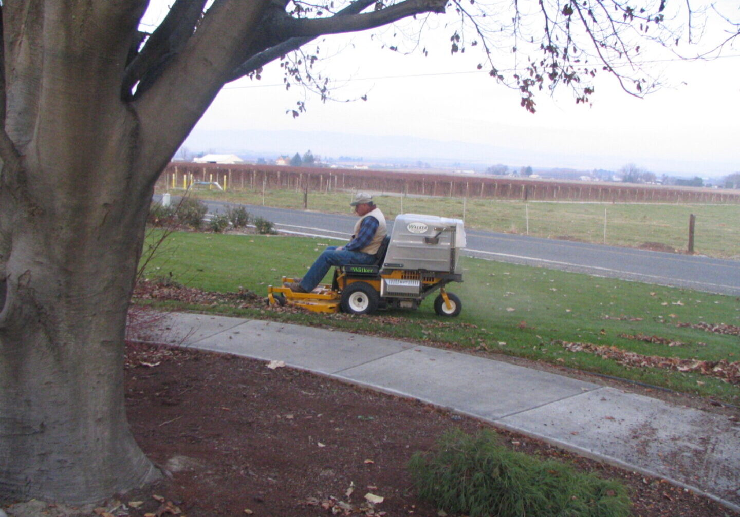 Maintenance Van Wingerden Landscaping
