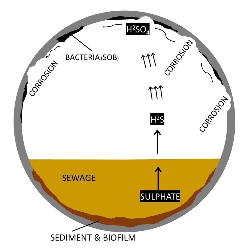 Things to know about sewer network maintenance