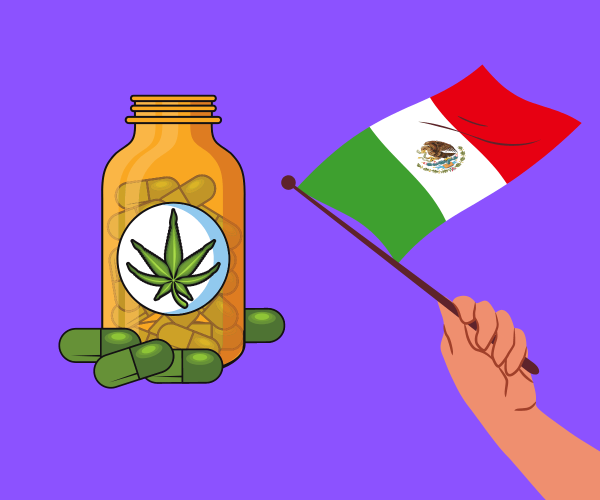¿Es legal el aceite de CBD en México? Lo que necesitas saber…
