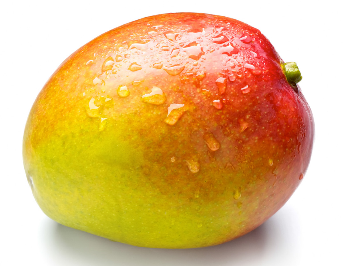 Mango Vape e cigarette Vaping Cafe Bedford UK