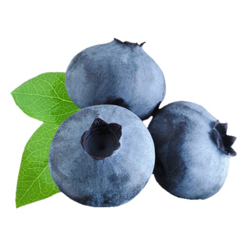 Blueberry DIY Flavor Concentrate Vapor Vapes