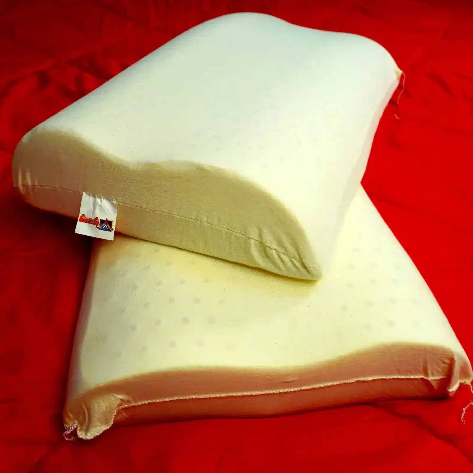 1 PURE LATEX CONTOUR PILLOW Vfurnituremall (Varam Latex)
