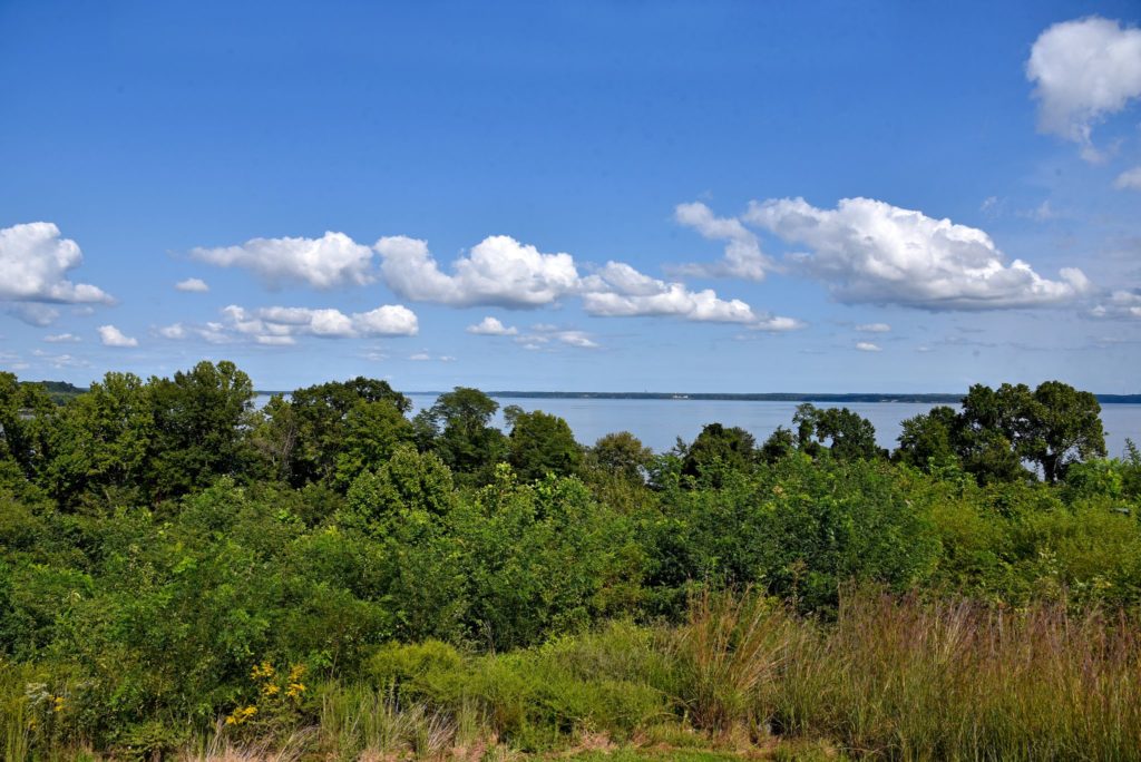 Potomac Shores Homes for Sale & Potomac Shores Home Values Claudia S