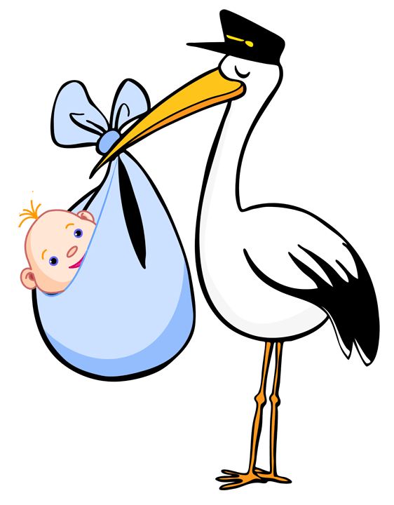 Déclaration de naissance à BrivelaGaillarde VARETZ