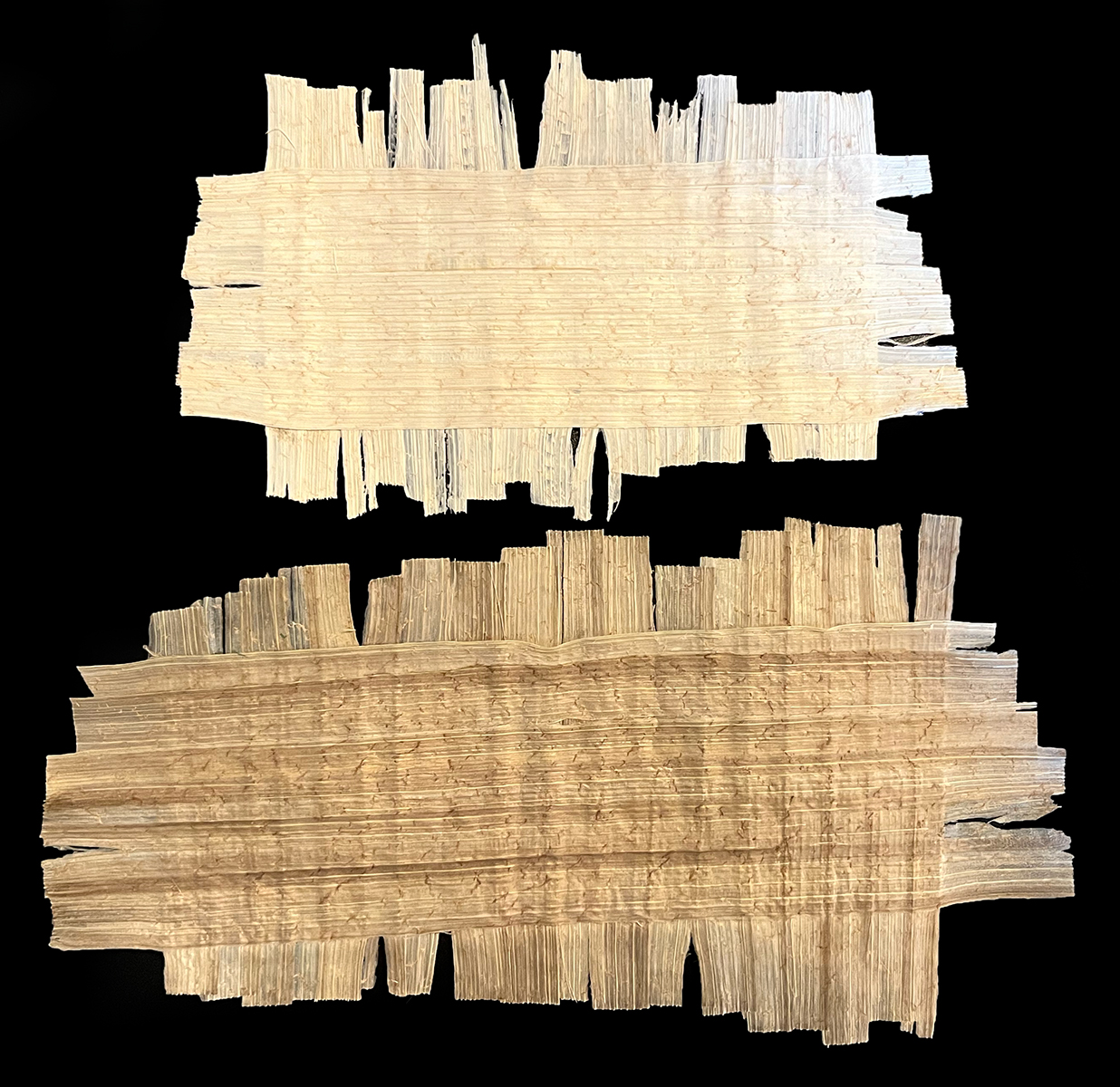 Snowy White Papyrus Variant Readings