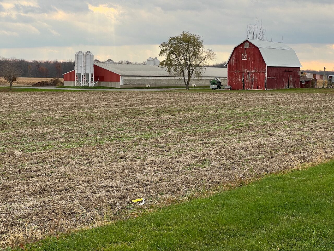 Town of Varick Official site of Varick, NY