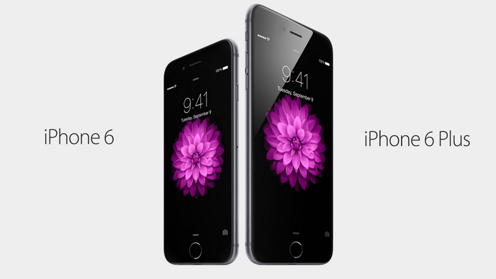 perbezaan iphone 6 dan iphone 6s Owen Butler